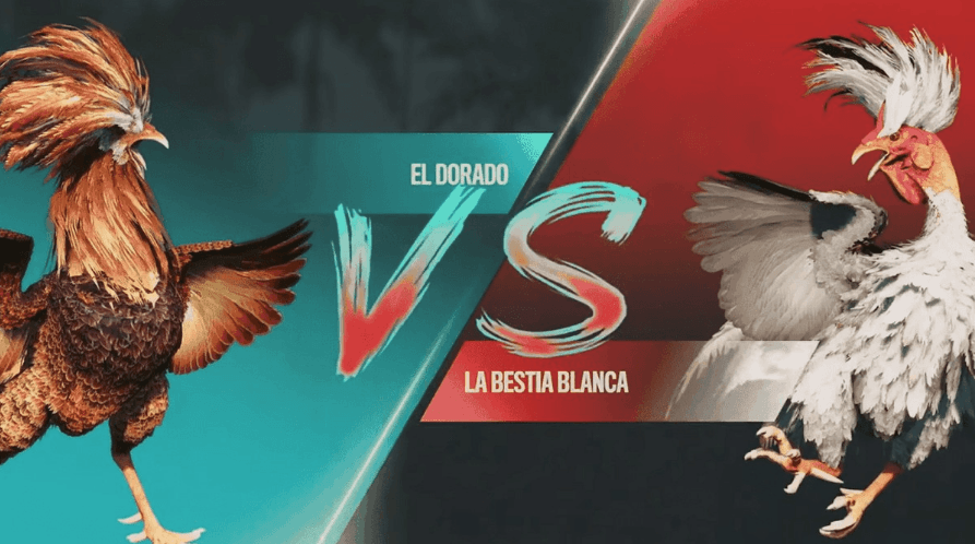 998brl Brasil Jogos de plataforma